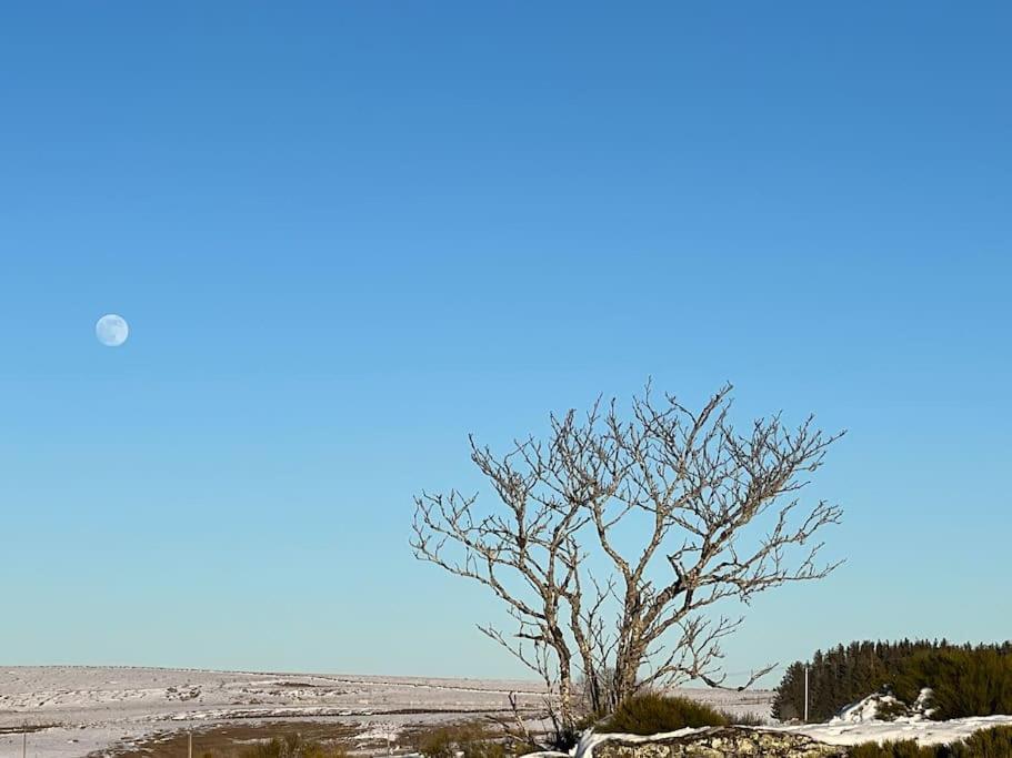Вилла Buron Coeur D'Aubrac Marchastel  Экстерьер фото